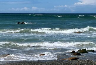 Vernunft und Seele